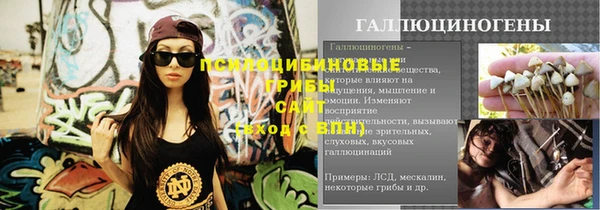 молекула духа Снежногорск