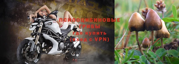 ALPHA-PVP Снежинск